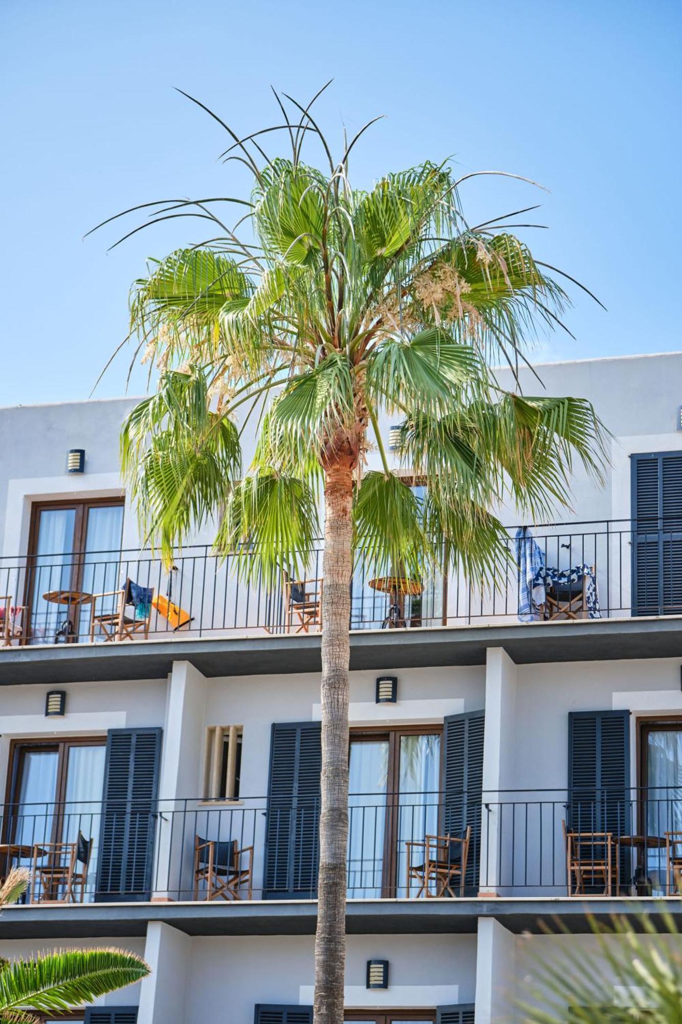 Hotel Boutique Bon Repos - Adults Only Santa Ponsa Εξωτερικό φωτογραφία